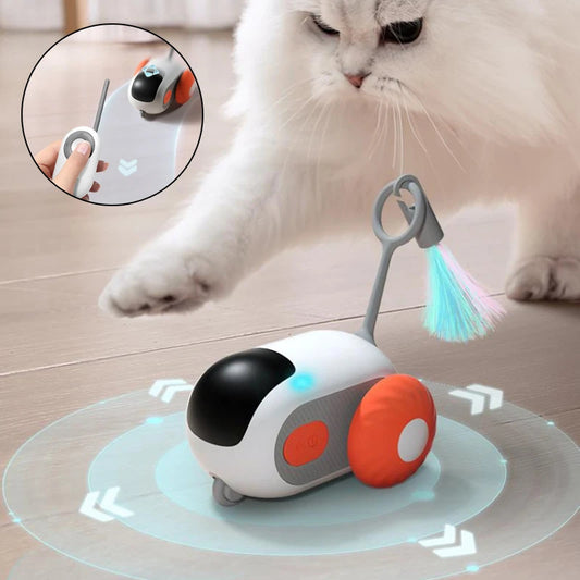 Crazy-Joy Car: The Ultimate Remote-Control Cat Toy - Pet Paradise