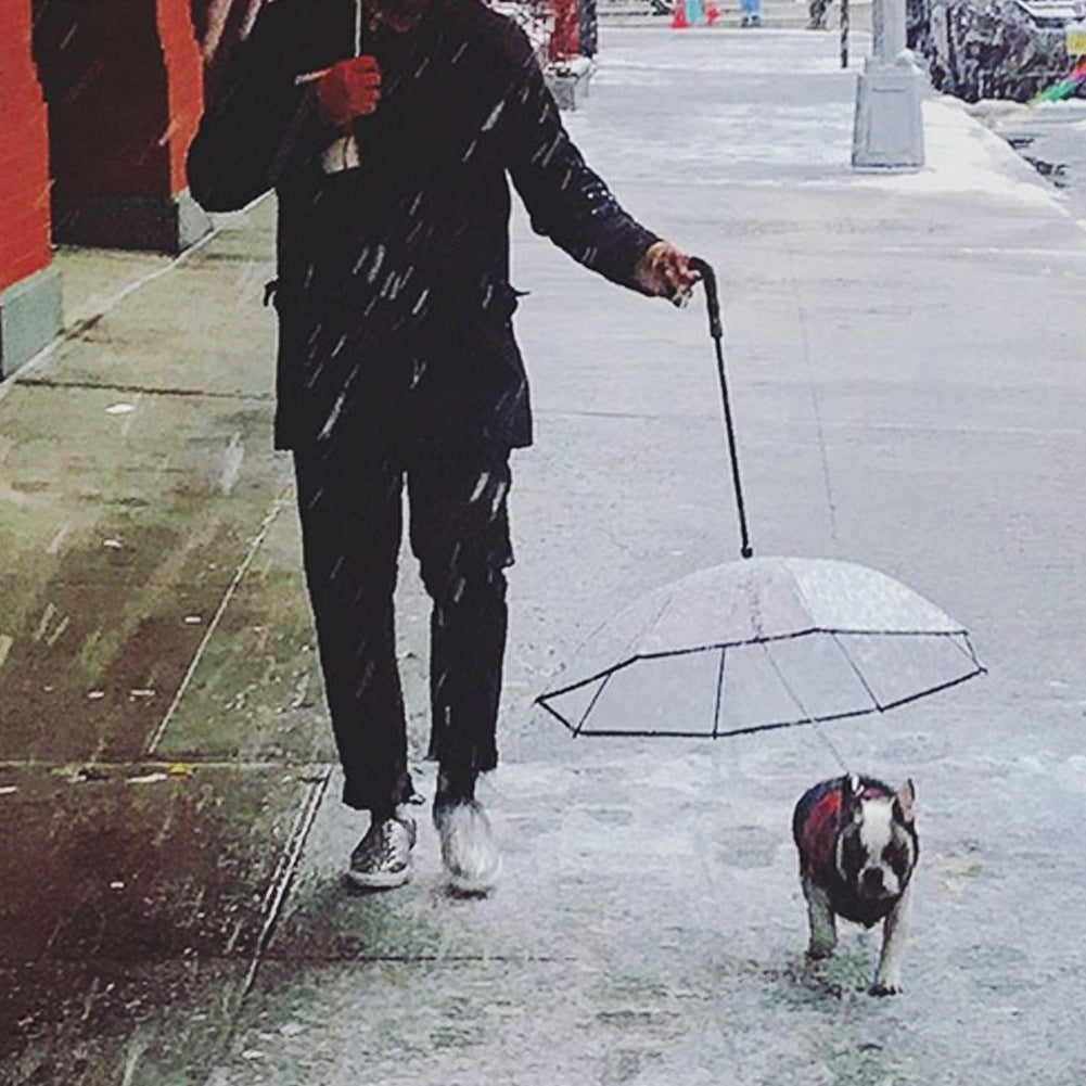Dog's Transparent Umbrella With Traction Chain Removable Umbrella Pet Products - Pet Paradise