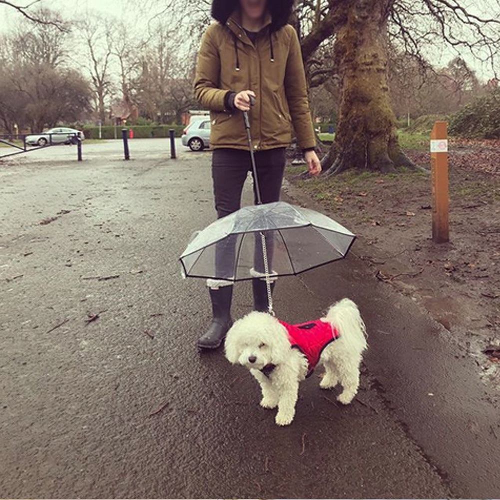Dog's Transparent Umbrella With Traction Chain Removable Umbrella Pet Products - Pet Paradise
