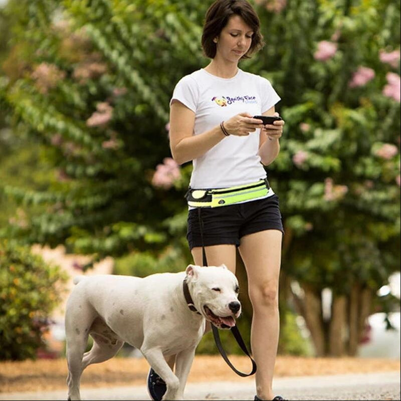 Hands-free dog leash with bungee, phone pocket, and bottle holder. - Pet Paradise