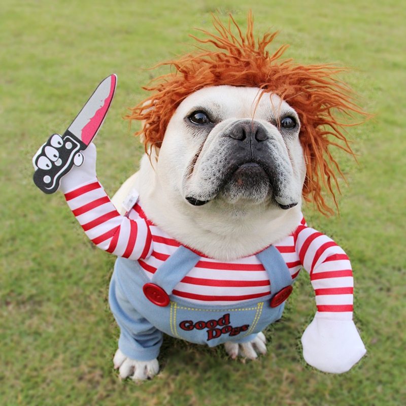 Adjustable Halloween dog costume for cosplay, parties, and gatherings. - Pet Paradise