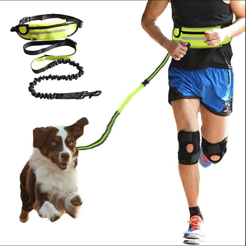Hands-free dog leash with bungee, phone pocket, and bottle holder. - Pet Paradise