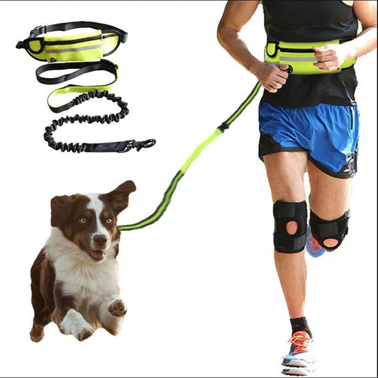 Hands-free dog leash with bungee, phone pocket, and bottle holder. - Pet Paradise