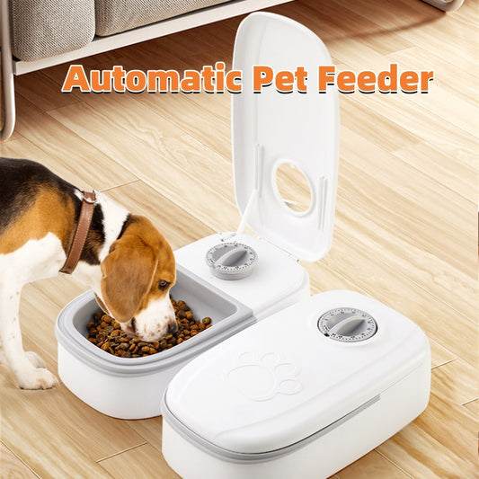 Smart automatic pet feeder with timer and stainless steel bowl. - Pet Paradise