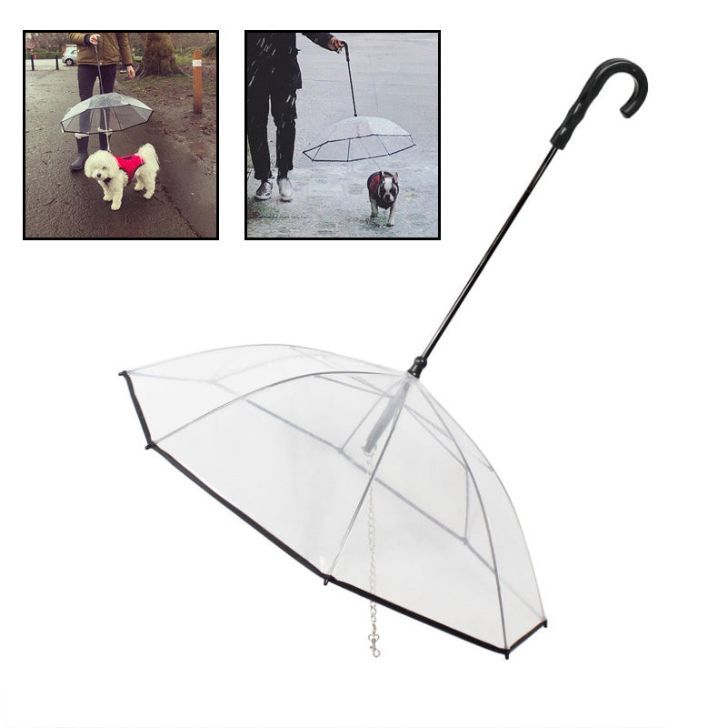 Dog's Transparent Umbrella With Traction Chain Removable Umbrella Pet Products - Pet Paradise